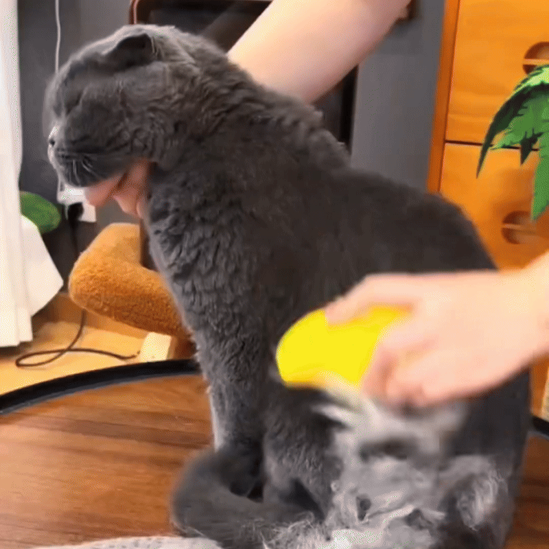 Electric Pet Grooming Brush - Maisoncanine™️